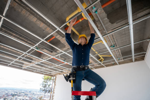 Best Local Plumber Services  in Gallup, NM